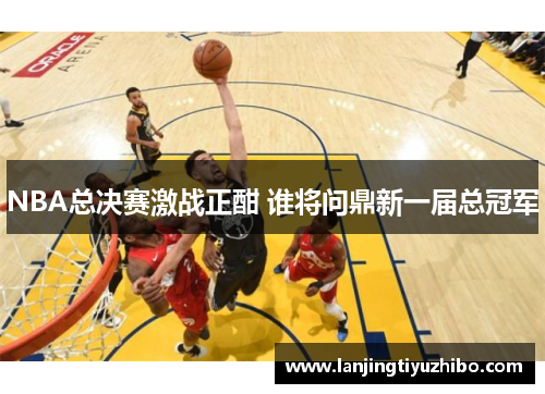 NBA总决赛激战正酣 谁将问鼎新一届总冠军